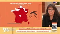 La question du jour : Comment se débarrasser des moustiques ?