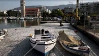 En Grèce, des milliers de poissons morts envahissent le port de Volos