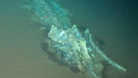 Près de 500 squelettes à 7.000 mètres de fond : un stupéfiant cimetière de baleines découvert dans l'océan Indien