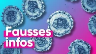 Hantavirus : attention à ces fausses infos