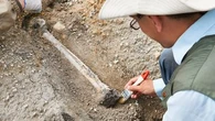 6 sites en France à visiter pour marcher dans les pas des dinosaures