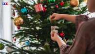 Naturel ou artificiel : quel sapin choisir pour un Noël écolo ?