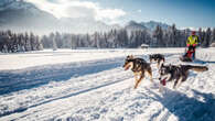 La Grande Odyssée VVF 2023 : l'aventure de 600 chiens de traineaux à travers les Alpes