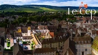 Le Cep : à Beaune, un monde de libertés à composer soi-même