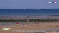 Ces habitués qui reviennent chaque année