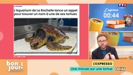 L’expresso : Tortue en quête d’un nom, un concours littéraire pour les malvoyants et moins de sécurité pour plus de tranquillité