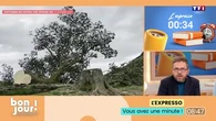 L'expresso : La sulfateuse à PV de Marseille, le moa géant pourrait être ressuscité et 4 ans de prison pour l’abattage d’un arbre