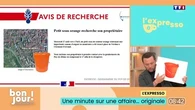 L'expresso : L'affaire d'un seau orange rempli d'argent et le naufrage d'un yacht flambant neuf