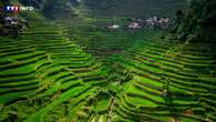 REPORTAGE - Philippines : les marches de Banaue, plus vastes rizières en terrasses au monde