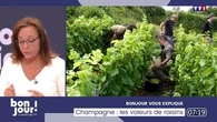 Bonjour vous explique : Champagne, les voleurs de raisins