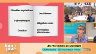 Bonjour ! La Matinale TF1 - Les fantaisies de Monique : Dictionnaire, 150 nouveaux mots !