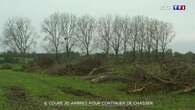 Il coupe 30 arbres pour continuer de chasser