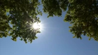 Alerte canicule : cinq départements placés en vigilance orange
