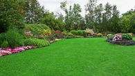 Jardinage : qu'est-ce que le gazon liquide et est-il vraiment plus efficace que le semis traditionnel ?
