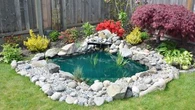 Comment créer un point d’eau dans son jardin pour favoriser la biodiversité ?