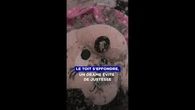 Le plafond s'effondre sur son lit : une fillette échappe à un drame de justesse