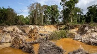 "Un comportement proche de celui des bandes armées" : en Guyane, sept militaires condamnés pour vols et extorsion d'or