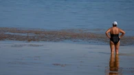L'océan Atlantique Nord n'a jamais été aussi chaud