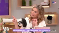 "Un changement de vie anxiogène" : les conseils d'une vétérinaire pour aider son chat et son chien lors d'un déménagement