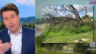 Un arbre de mon voisin est tombé dans mon jardin, qui doit payer pour les dégâts et l'enlèvement ? Le 13H à vos côtés