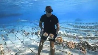 VIDÉO - Polynésie française : ces jardiniers sous-marins sauvent les récifs coralliens