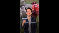 Zoom au Pérou : ce dimanche dans LE 13H de TF1