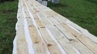 Deux tonnes de farine et 3.000 kilos de pommes : en Croatie, le record du monde du plus long strudel battu