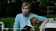 L'ange gardien des beagles : cette Bourguignonne sauve de l'euthanasie des centaines de chiens cobayes nés en laboratoire