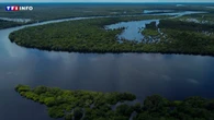 Brésil : la déforestation en Amazonie tombe à son niveau le plus bas pour un mois de novembre