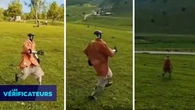 VÉRIF' - Cette vidéo d'un "robot chinois" en train de dévaler une pente en courant est-elle authentique ?