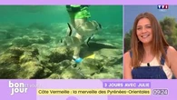 3 jours avec Julie : Côte Vermeille, la merveille des Pyrénées-Orientales