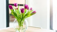 Protégez votre chien en bannissant cette fleur de votre jardin et votre maison !