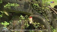 Pneus jetés dans la nature : ils polluent pendant des décennies