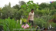 Voici les meilleurs alliés contre la chaleur