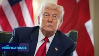 VÉRIF'- Des pays d'Europe ont-ils vraiment interdit les éoliennes, comme l'assure Donald Trump ?