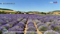 Quand l'Auvergne prend des allures de Provence