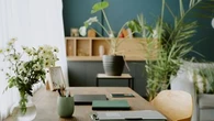 Comment créer un intérieur naturel grâce au design biophilique ?