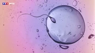 Infertilité : un lien "fort" entre les pesticides et la baisse des spermatozoïdes, selon une étude