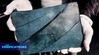 VÉRIF' - Mis aux enchères à partir de 300.000 euros, le sac de luxe est-il vraiment en "cuir de T-Rex" ?"