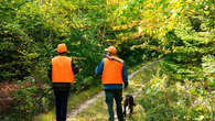 Comment se promener en sécurité pendant la période de chasse ?