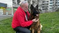 Vol d'un chien de race au Salon de l'agriculture : le berger allemand Texane retrouvé après 5 jours de recherche