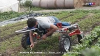 Robots au jardin : ils travaillent à votre place !