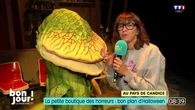 Au pays de Candice : La petite boutique des horreurs, le bon plan d'Halloween