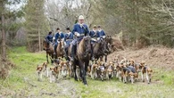Agression d'un militant en forêt de Fontainebleau : ce qu'il faut savoir sur la chasse à courre en France