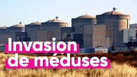 Comment le réchauffement climatique a provoqué l'arrêt d'une centrale nucléaire ?