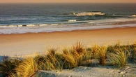 Entre sport et paysages d’exception, ne manquez pas ces dix plages du Pays Basque