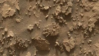 Mars : une roche ressemblant à du corail photographiée par le robot Curiosity de la Nasa