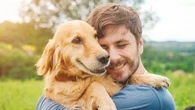 Vacances d'été avec ou sans votre animal de compagnie ? Les solutions ne manquent pas pour ne plus se poser la question
