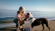 "C'est un peu le parcours du combattant" : où partir en vacances avec son chien cet été ?