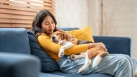 J’aimerais louer un appartement pour les vacances mais j’ai un chien : les propriétaires ont-ils le droit de me refuser la location ?